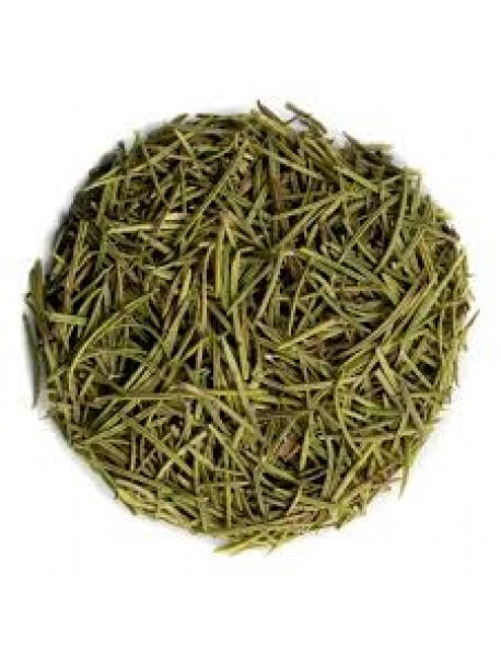 Biberiye Otu - 500 gr