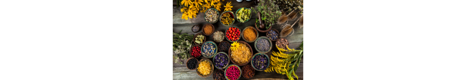 GIDALAR - BİTKİLER   FİTOTERAPİK ÜRÜNLER