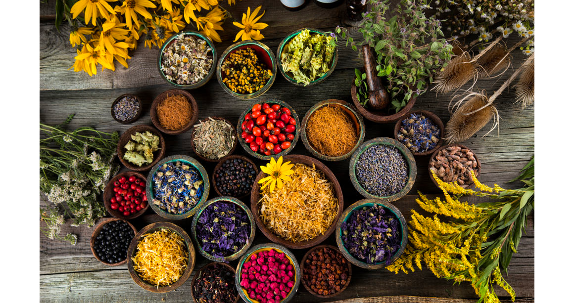 FİTOTERAPİ'NİN ÖNEMİ